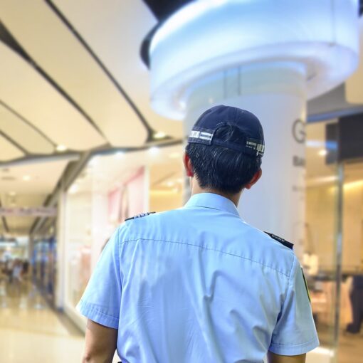 Formations APS et OVT agréées CNAPS Métiers de la sécurité 2